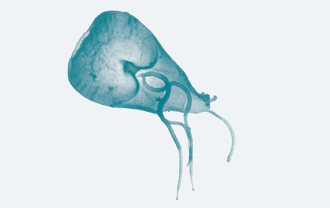 Doktor online mebendazol